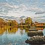 Cove Island Park