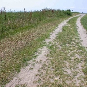 Sherwood Island State Park