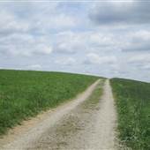 Horse Barn Hill