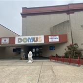 Domus
