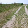 Sherwood Island State Park
