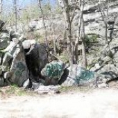 Pine Ledge