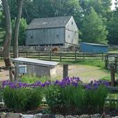 Stamford Museum & Nature Center