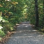 Cockaponset State Forest