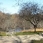 Greenwich Lake House