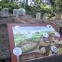 Connecticut's Beardsley Zoo-Prairie Dog Town
