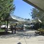 Connecticut's Beardsley Zoo