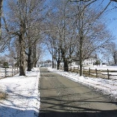 Tyrone Farm Winter