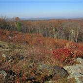 Mohawk State Forest - Mohawk Mountain Summit