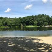 Mount Tom Pond