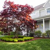 Westport Newport Colonial