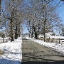 Tyrone Farm Winter