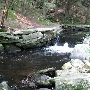 Mashamoquet Brook State Park
