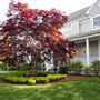 Westport Newport Colonial