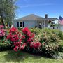 Black Rock Waterfront Beach Cottage