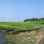 Barn Island - Boat Launch