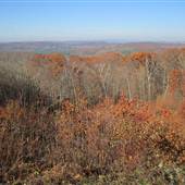 Mohawk State Forest - Lean-to Area