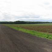 Ellington - East Road
