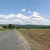Ellington - Hutton Road