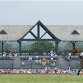 Greenwich Polo Club