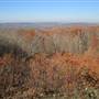 Mohawk State Forest - Lean-to Area
