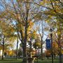 Town of Winchester/City of Winsted, CT