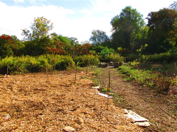 Yale West Campus- Urban Farm